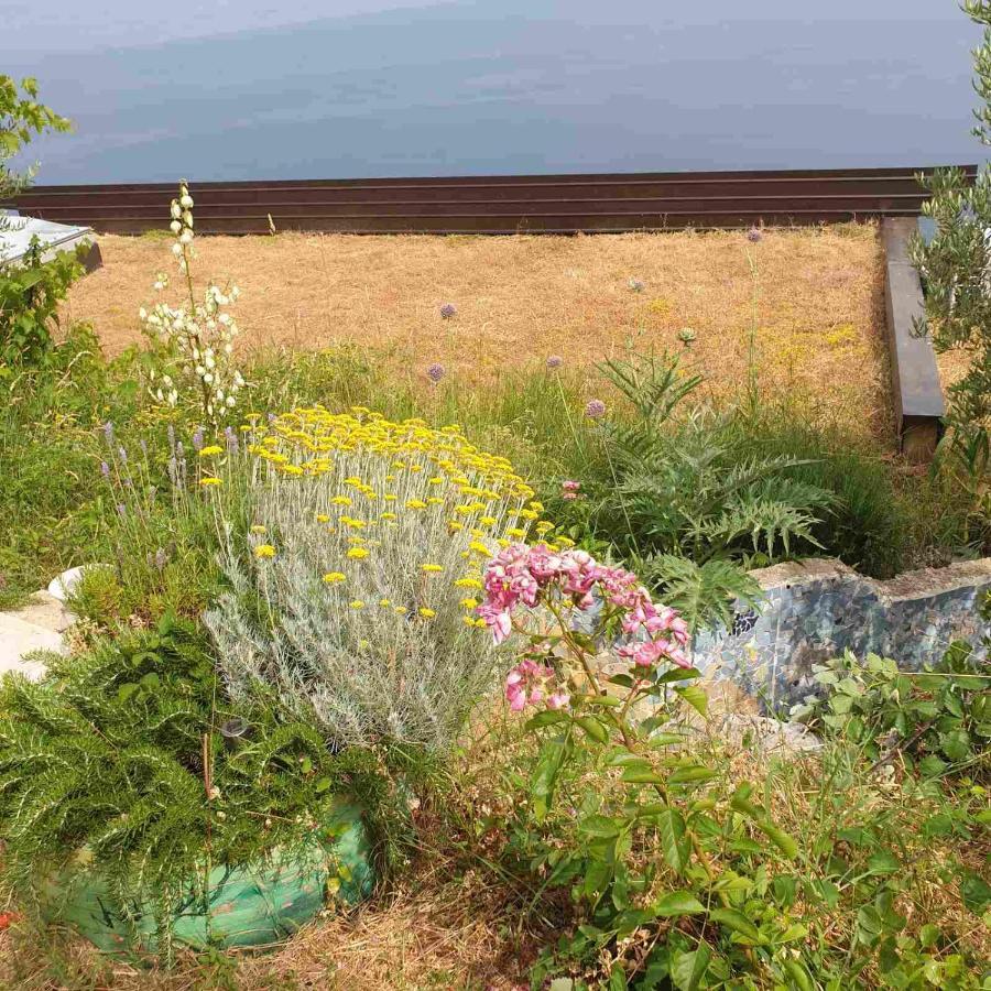 Mary'S Garden Villa Tulisevica Exterior photo