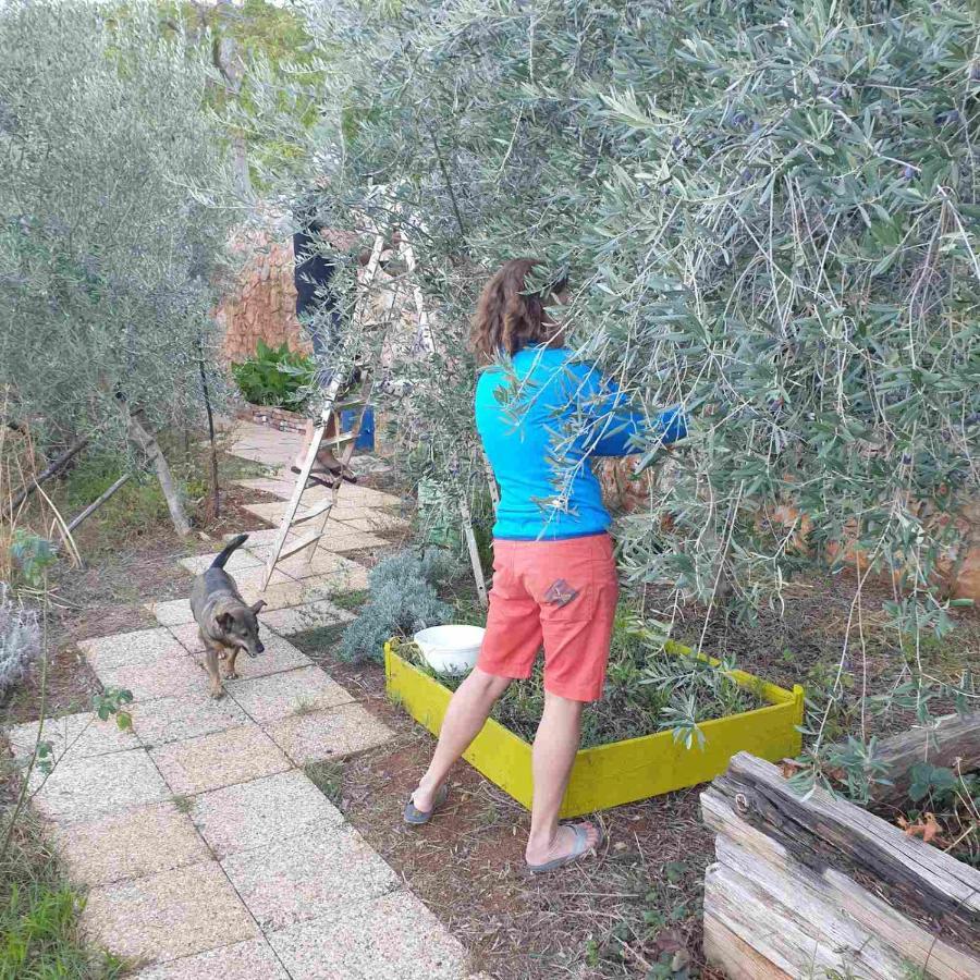 Mary'S Garden Villa Tulisevica Exterior photo