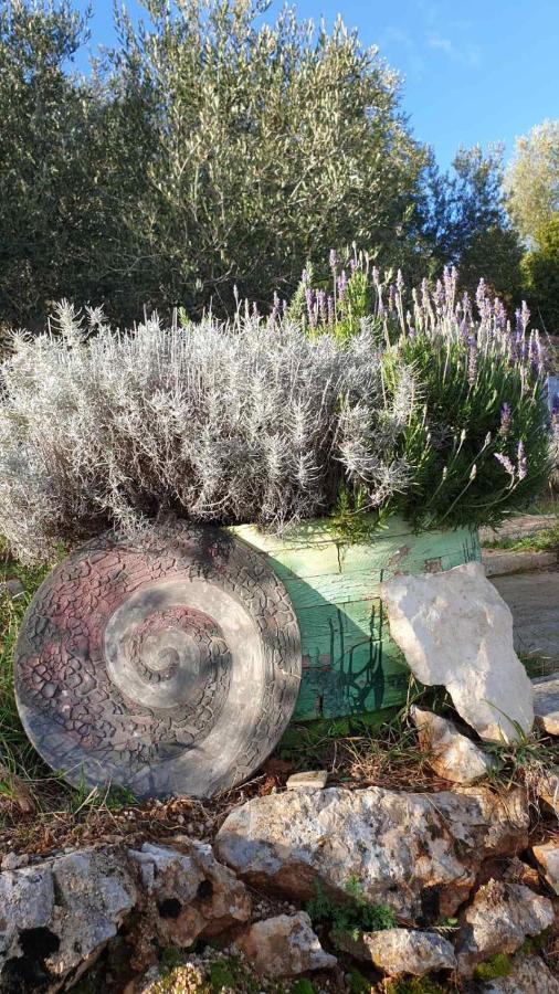 Mary'S Garden Villa Tulisevica Exterior photo