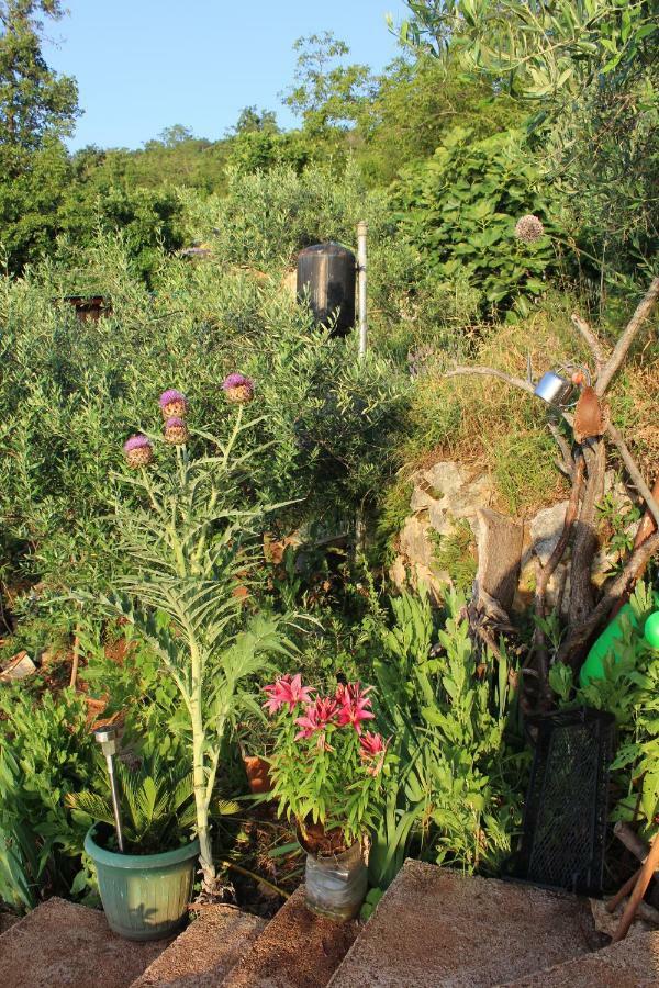 Mary'S Garden Villa Tulisevica Exterior photo