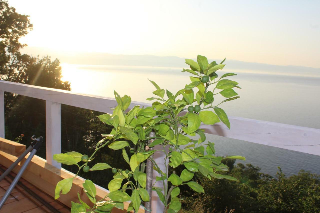 Mary'S Garden Villa Tulisevica Exterior photo