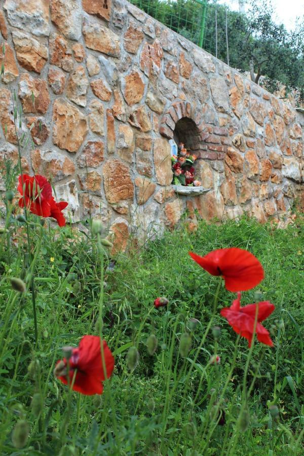 Mary'S Garden Villa Tulisevica Exterior photo
