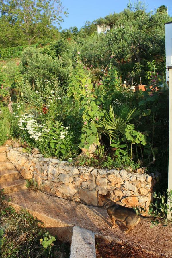 Mary'S Garden Villa Tulisevica Exterior photo